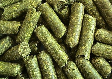 牧草颗粒.jpg