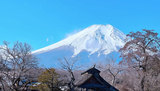 文章附图